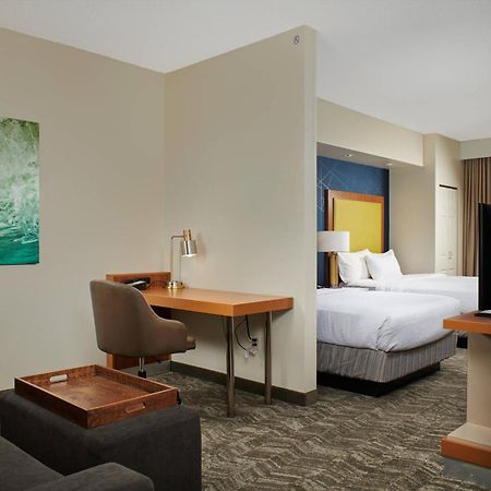Springhill Suites By Marriott Baton Rouge North / Airport Zewnętrze zdjęcie