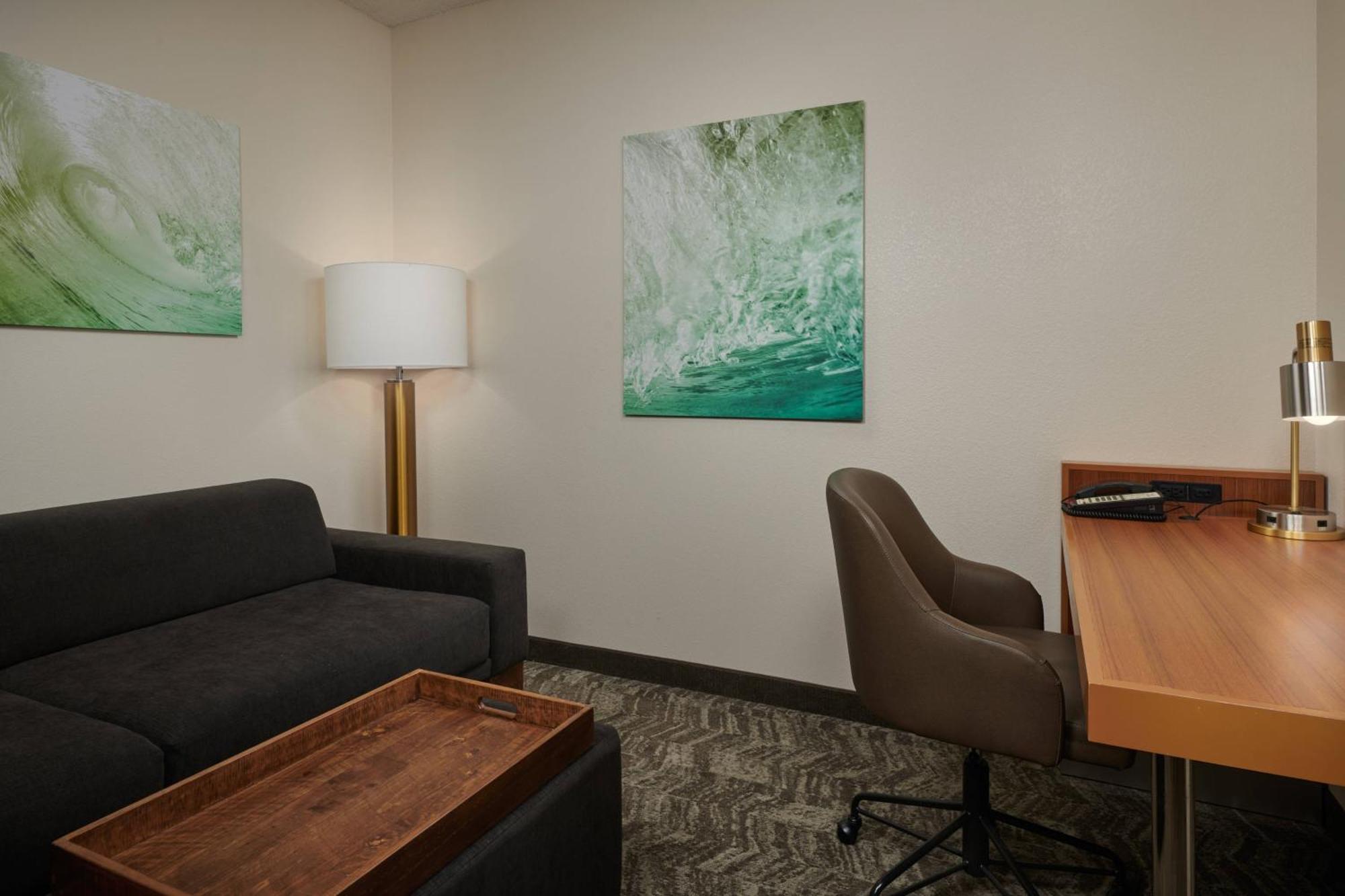 Springhill Suites By Marriott Baton Rouge North / Airport Zewnętrze zdjęcie